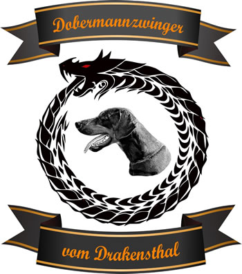 Dobermann vom Drakensthal