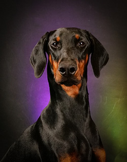 Holy Spirit von Morani